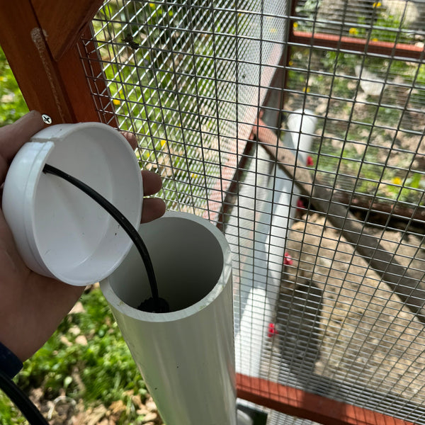 Water Heater for Chicken Waterer