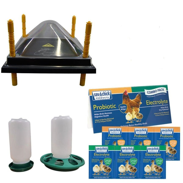 Basic Baby Chick Brooder Kit