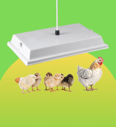 Chicken Coop Heater, Brooder Heater, Energy Efficient Safe Radiant Heater, 3-Year Warranty