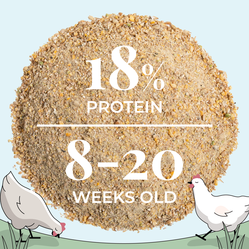 Grower Bundle | 12 Weeks of Organic Feed & Grit for 6 Pullets