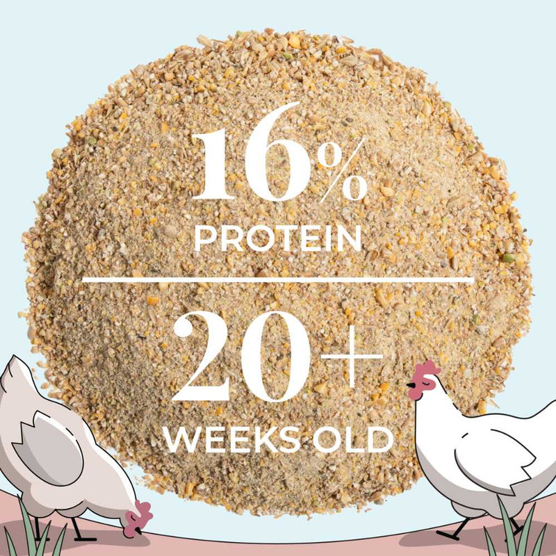 Layer Organic Chicken Feed