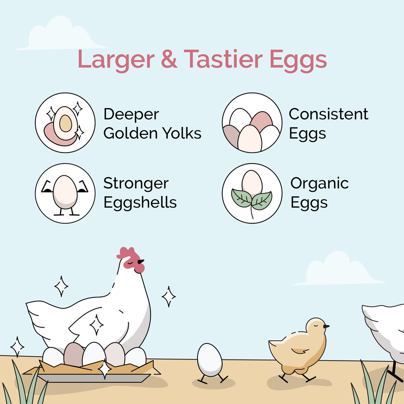 Starter Bundle | 8 Weeks of Organic Feed & Grit for 6 Chicks