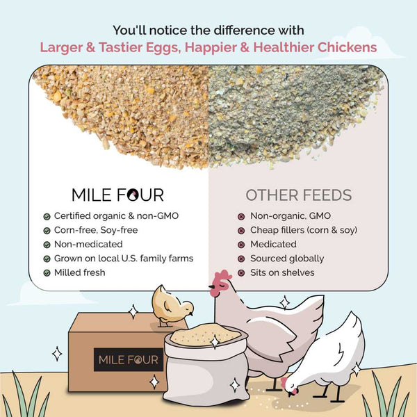 Starter Organic Chicken Feed