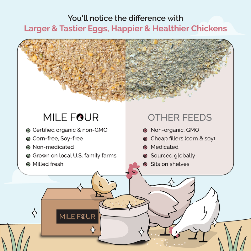 Starter Bundle | 8 Weeks of Organic Feed & Grit for 6 Chicks