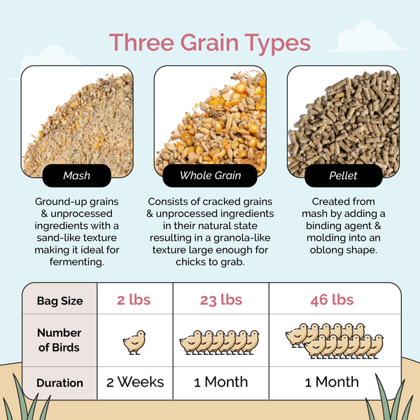 Starter Bundle | 8 Weeks of Organic Feed & Grit for 6 Chicks