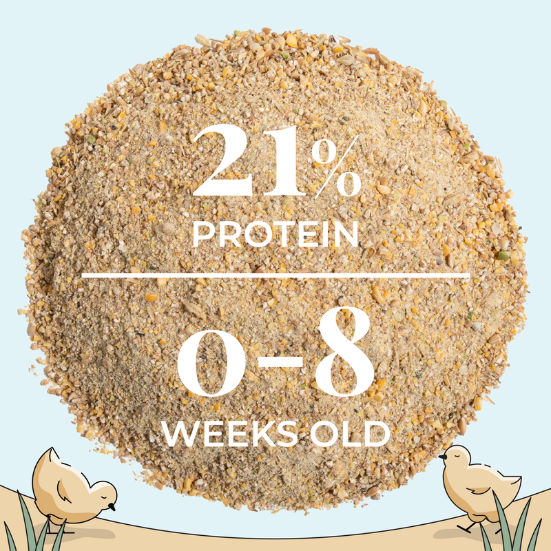 Starter Bundle | 8 Weeks of Organic Feed & Grit for 6 Chicks