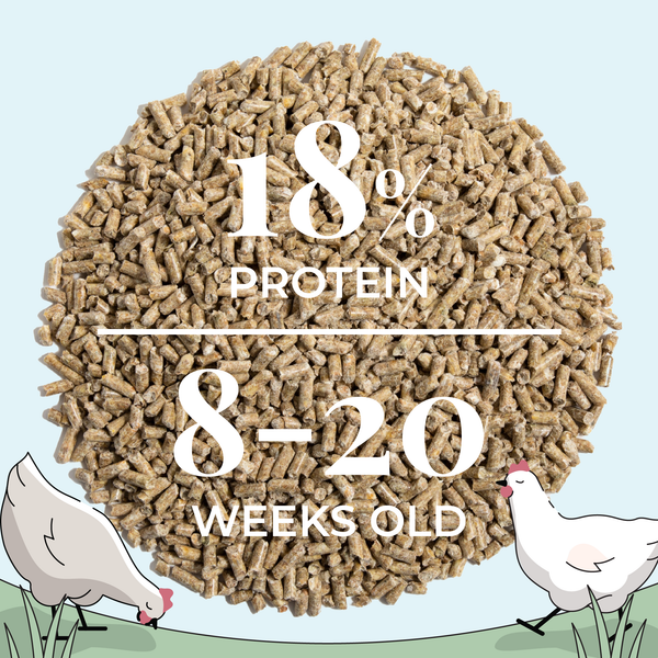 Grower Bundle | 12 Weeks of Organic Feed & Grit for 6 Pullets