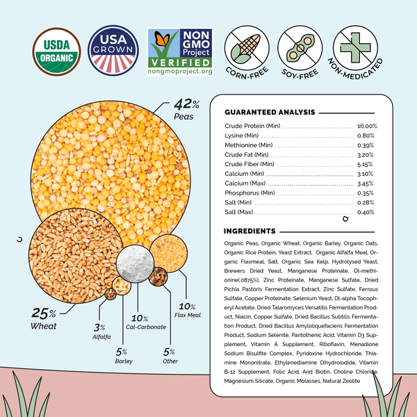 Layer Organic Chicken Feed