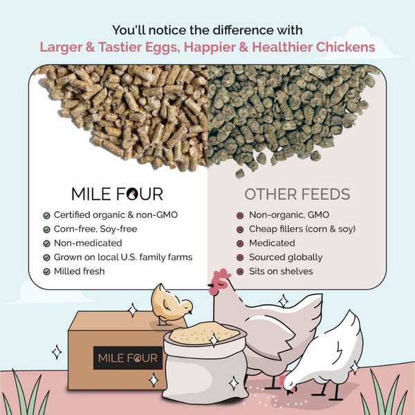 Layer Organic Chicken Feed