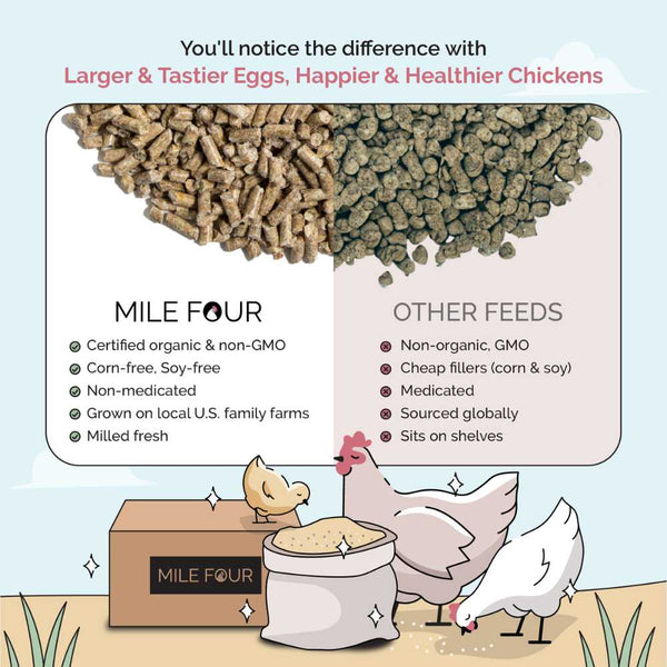 Starter Organic Chicken Feed