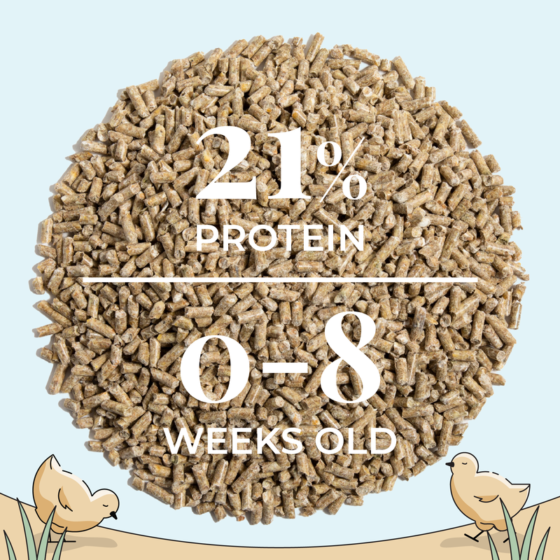 Starter Bundle | 8 Weeks of Organic Feed & Grit for 6 Chicks