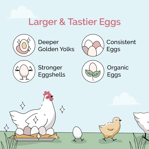 Grower Bundle | 12 Weeks of Organic Feed & Grit for 6 Pullets