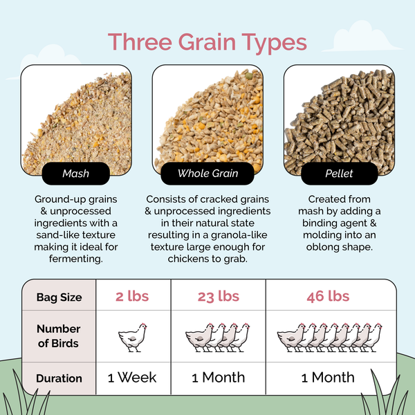 Grower Bundle | 12 Weeks of Organic Feed & Grit for 6 Pullets