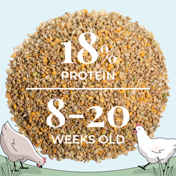 Grower Bundle | 12 Weeks of Organic Feed & Grit for 6 Pullets