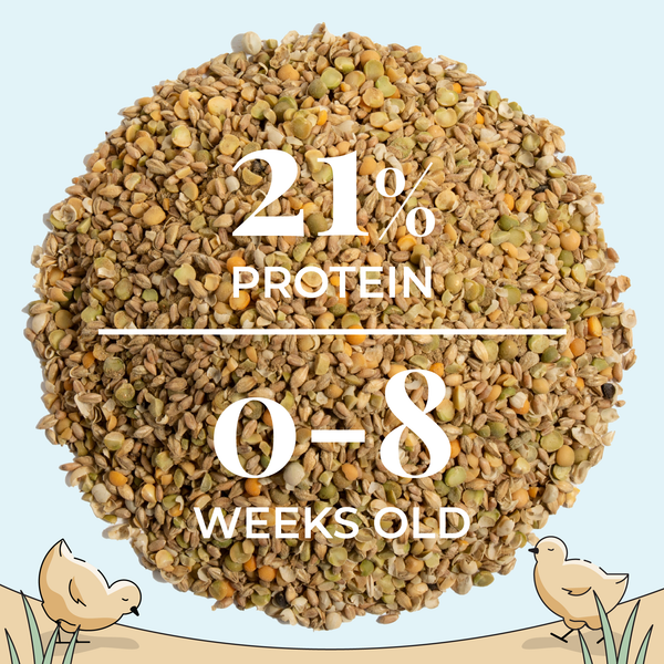 Starter Bundle | 8 Weeks of Organic Feed & Grit for 6 Chicks