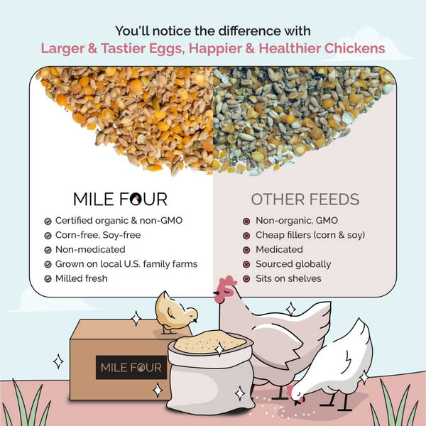 Layer Organic Chicken Feed