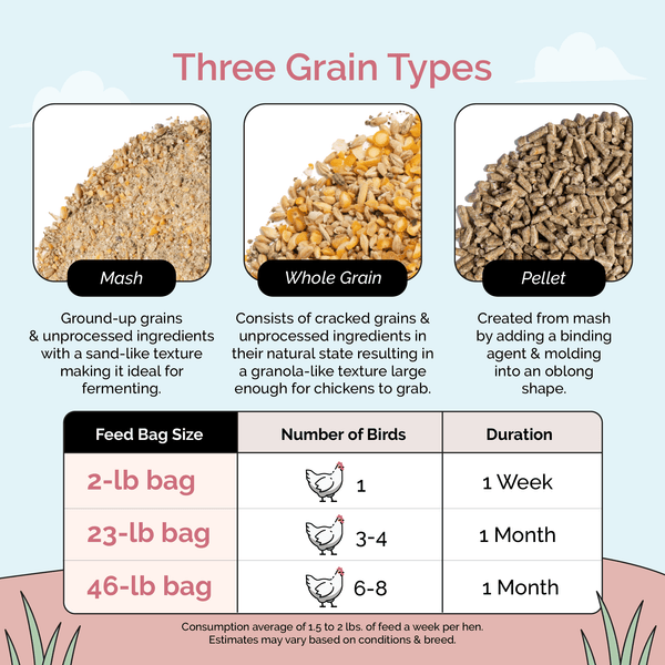 Layer Organic Chicken Feed