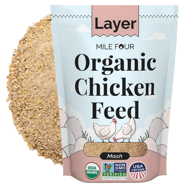 Layer Organic Chicken Feed