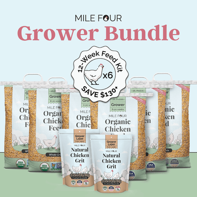 Grower Bundle | 12 Weeks of Organic Feed & Grit for 6 Pullets