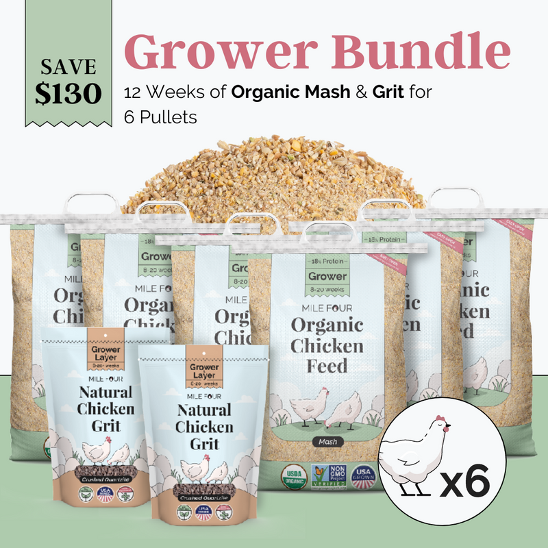 Grower Bundle | 12 Weeks of Organic Feed & Grit for 6 Pullets