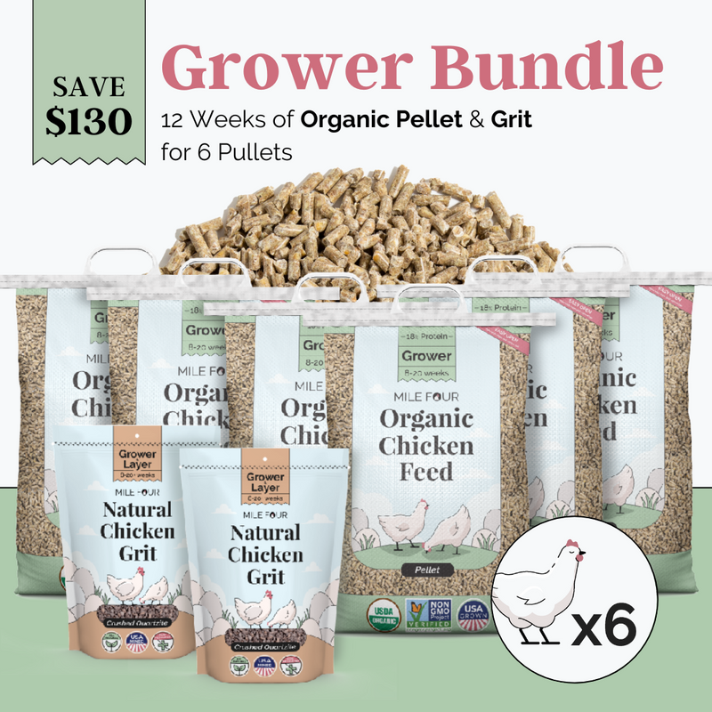 Grower Bundle | 12 Weeks of Organic Feed & Grit for 6 Pullets