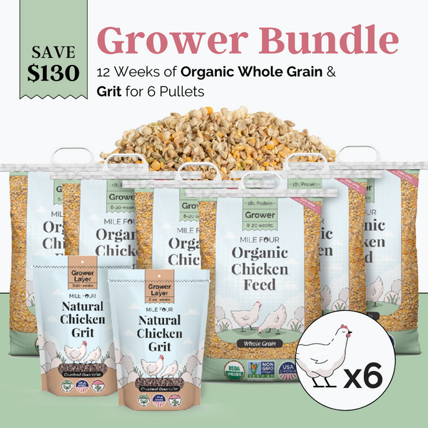 Grower Bundle | 12 Weeks of Organic Feed & Grit for 6 Pullets