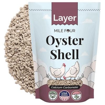 Oyster Shell