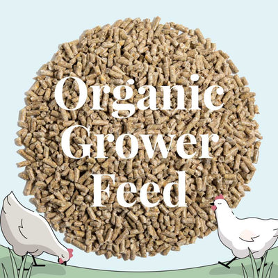 Grower Organic Chicken Feed