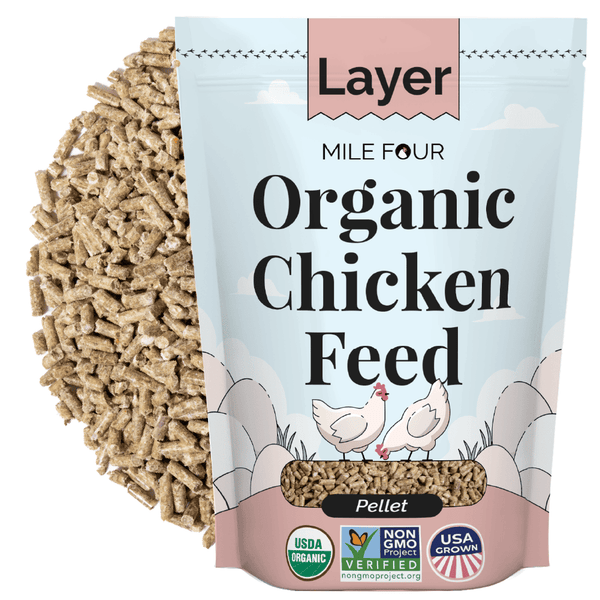 Layer Organic Chicken Feed