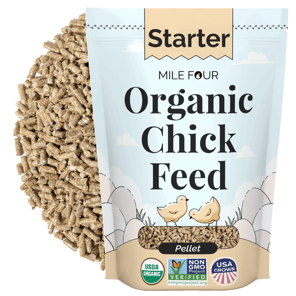 Starter Organic Chicken Feed