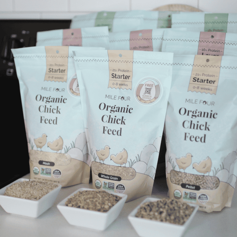 Starter Organic Chicken Feed