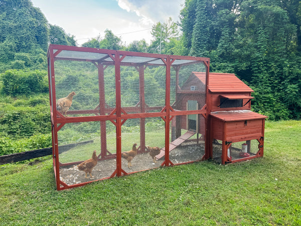 Chicken Coop for 10+ Chickens – Rhode Island Homestead XL Coop with Run Extension