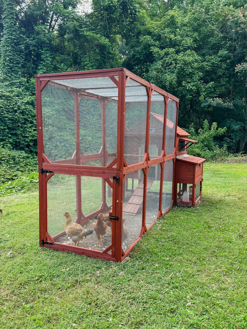 Chicken Coop for 10+ Chickens – Rhode Island Homestead XL Coop with Run Extension