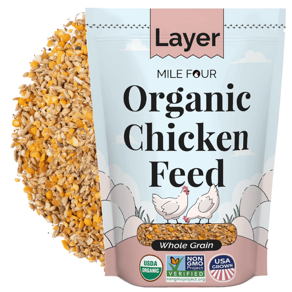 Layer Organic Chicken Feed