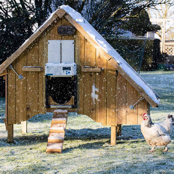 All In One Chicken Coop Door - Chicken Guard