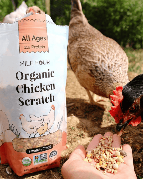 Organic Chicken Scratch