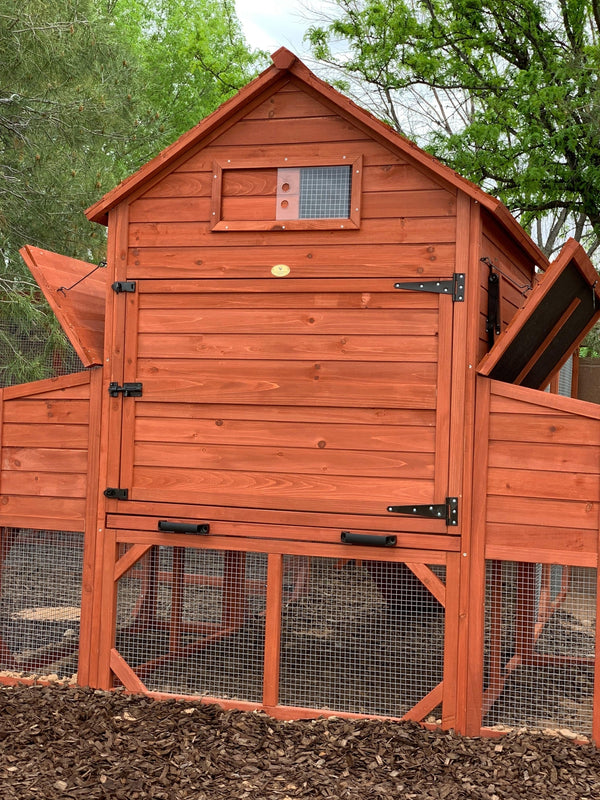 Rhode Island Homestead XL 10+ Chickens Hen House Only. IN STOCK!!